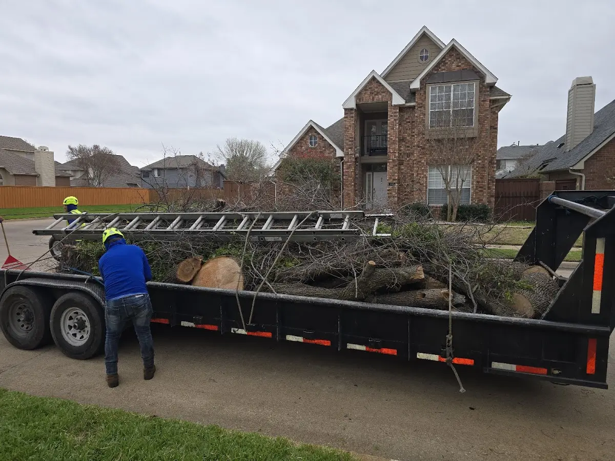 Expert Tree Pest Control with proper safety equipment in Deedsville